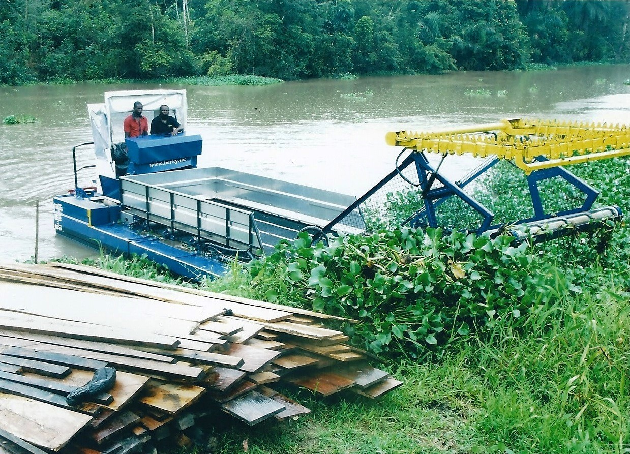 Avondale Services & Supplies Limited