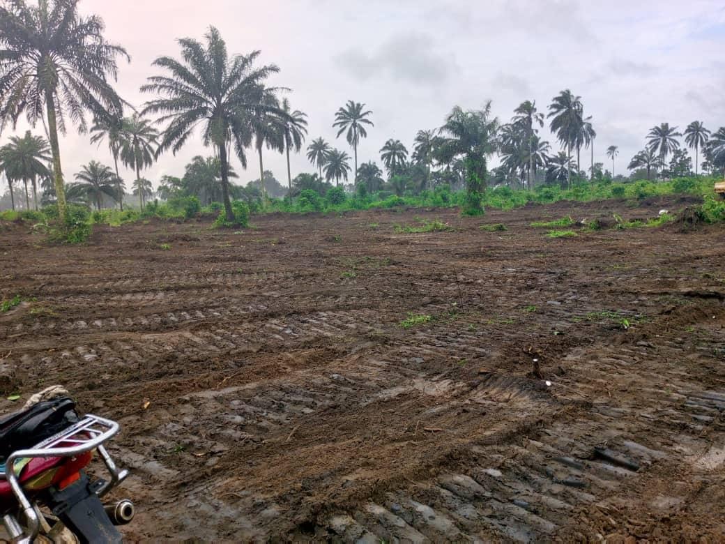 Hydrocarbon Site Remediation - Image 4