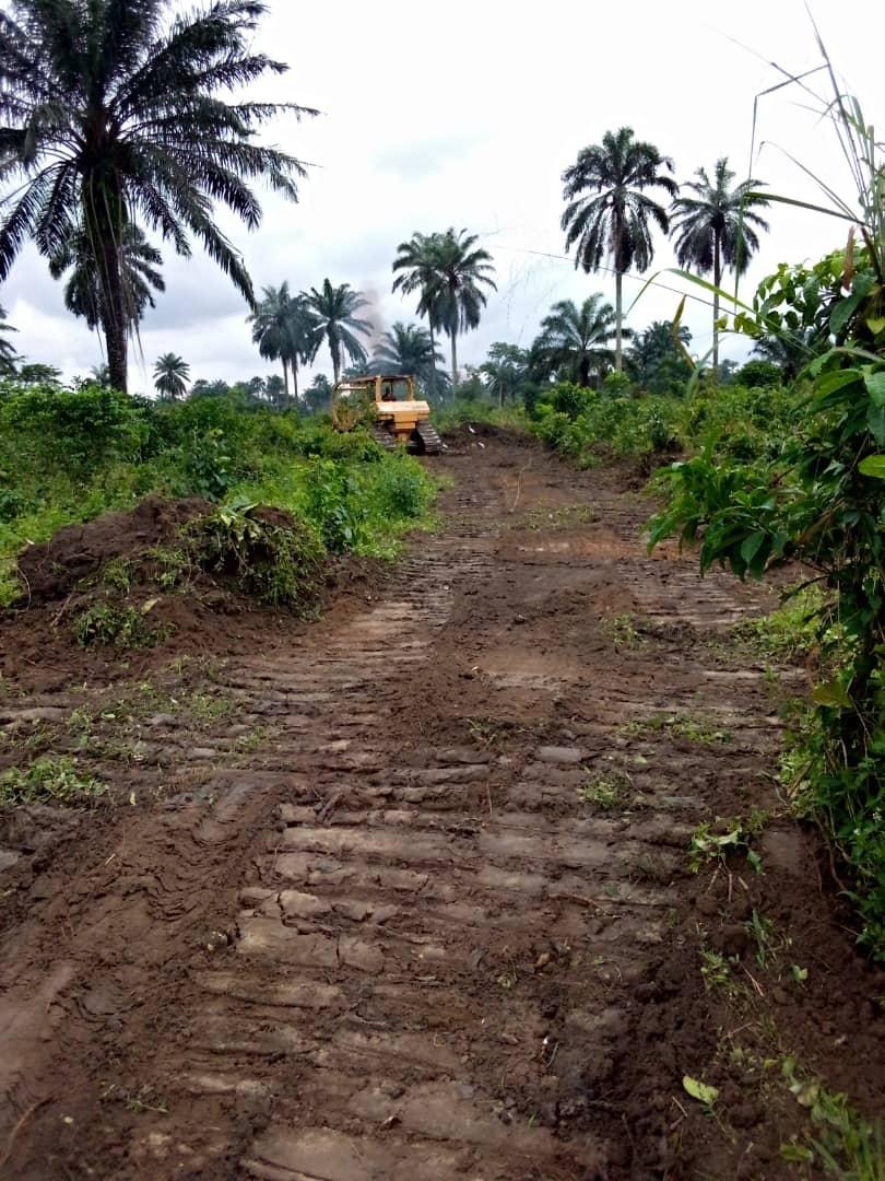 Hydrocarbon Site Remediation